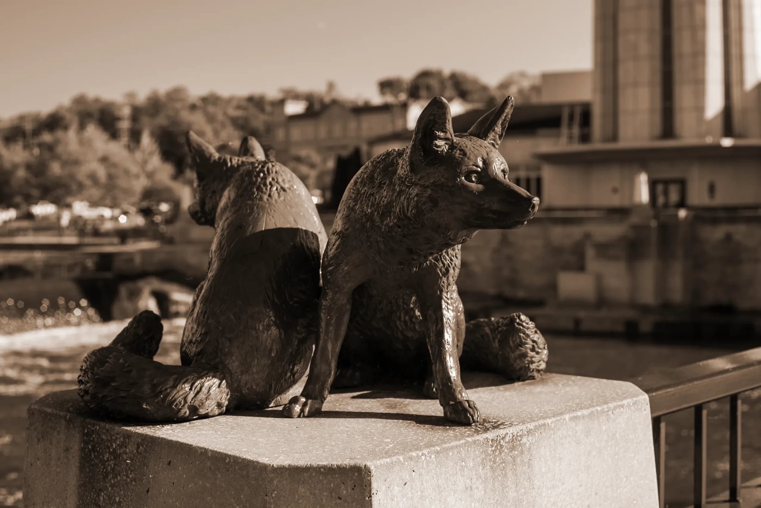 Bronze fox statue on a concrete pedestal by the water in downtown St. Charles