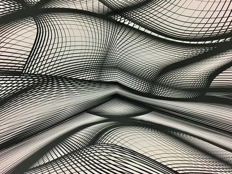 Abstract black curved grid lines forming a wave-like geometric pattern