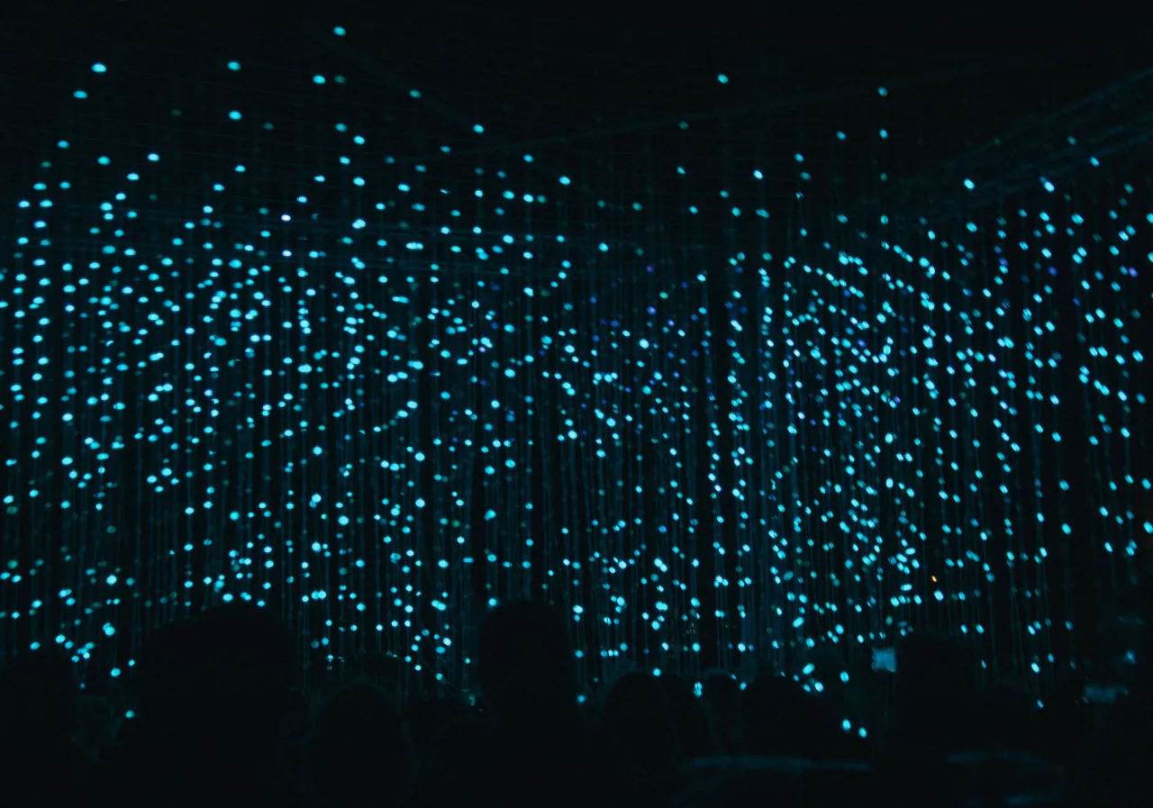 Group of people standing under blue light fiber optic fixture
