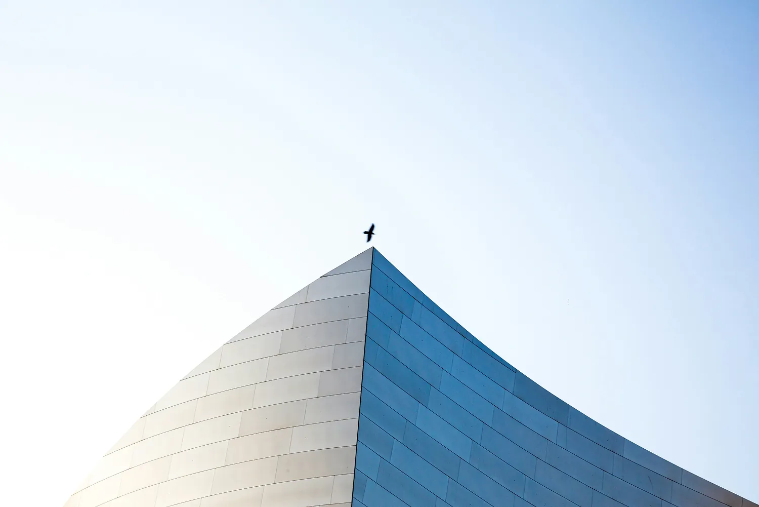 Curved modern building facade against a clear sky, with a bird perched on the peak